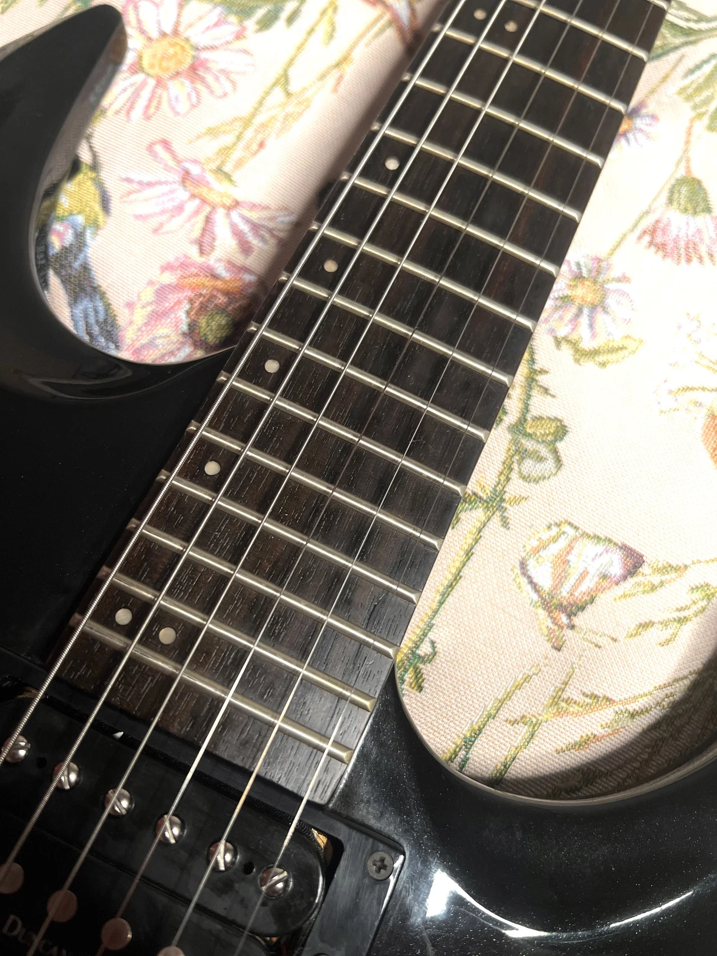 Washburn XM-Pro2 - миниатюра 4