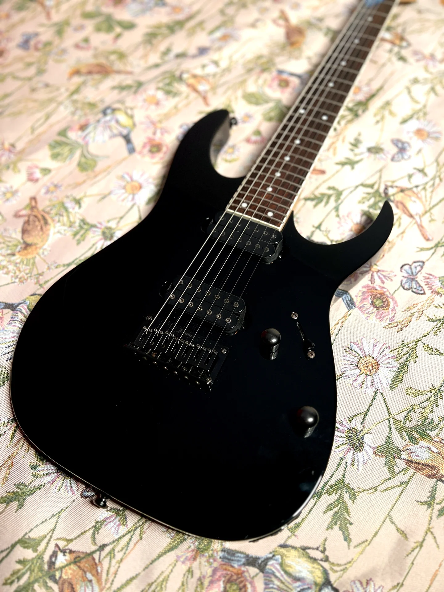 Ibanez RG 7321 Korea 7 струн - миниатюра 2