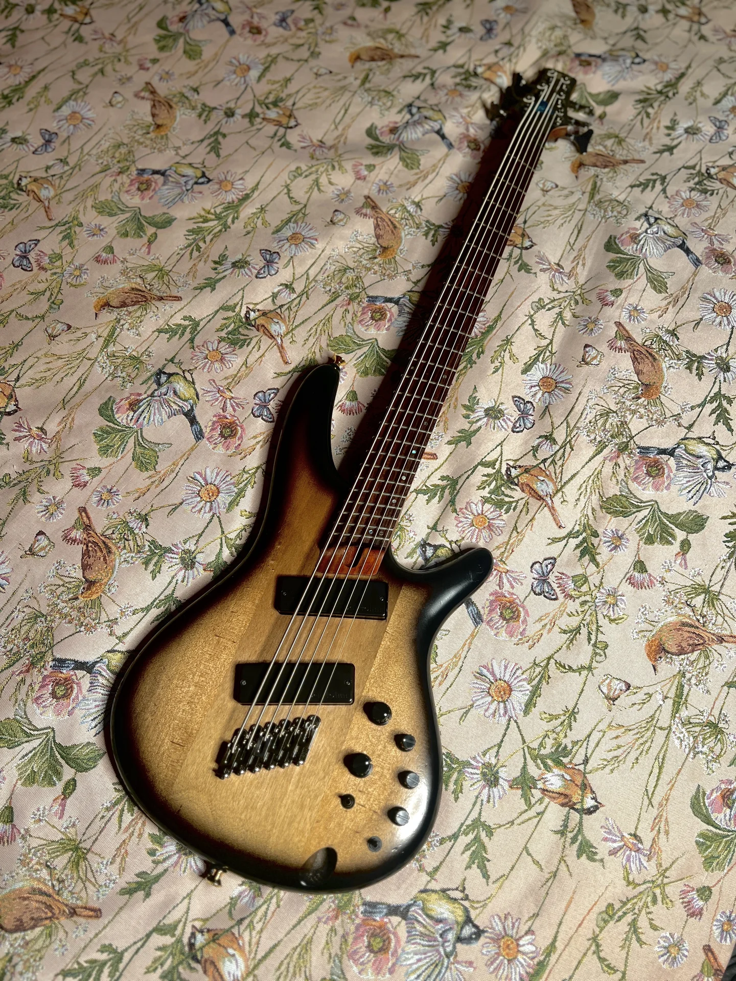 Ibanez SRC6ms гитара/бас - изображение 1