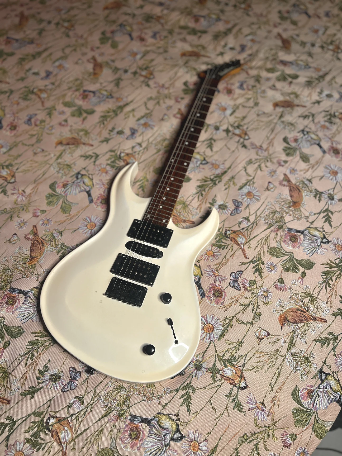 Washburn WM17 - изображение 1
