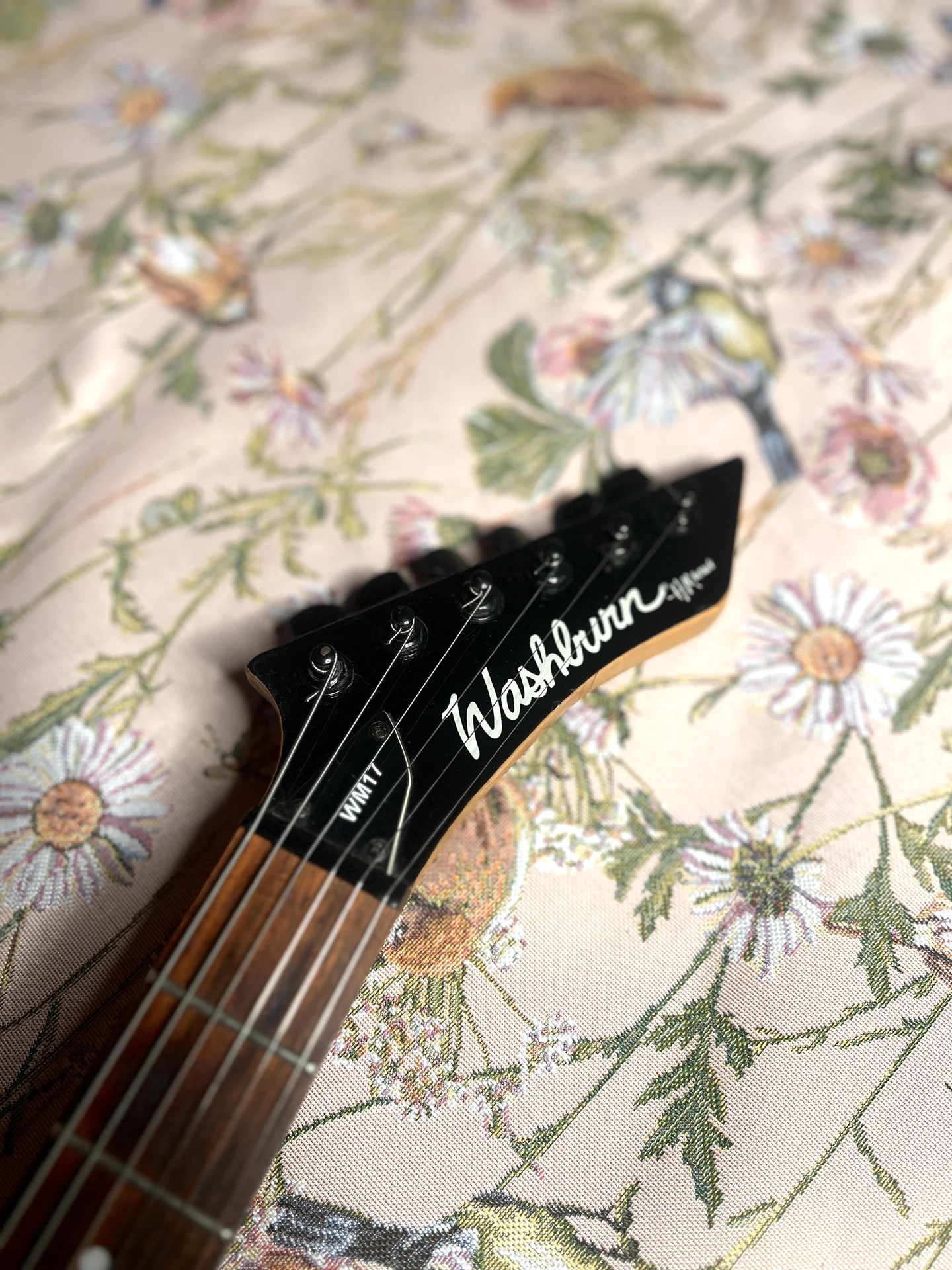 Washburn WM17 - миниатюра 4
