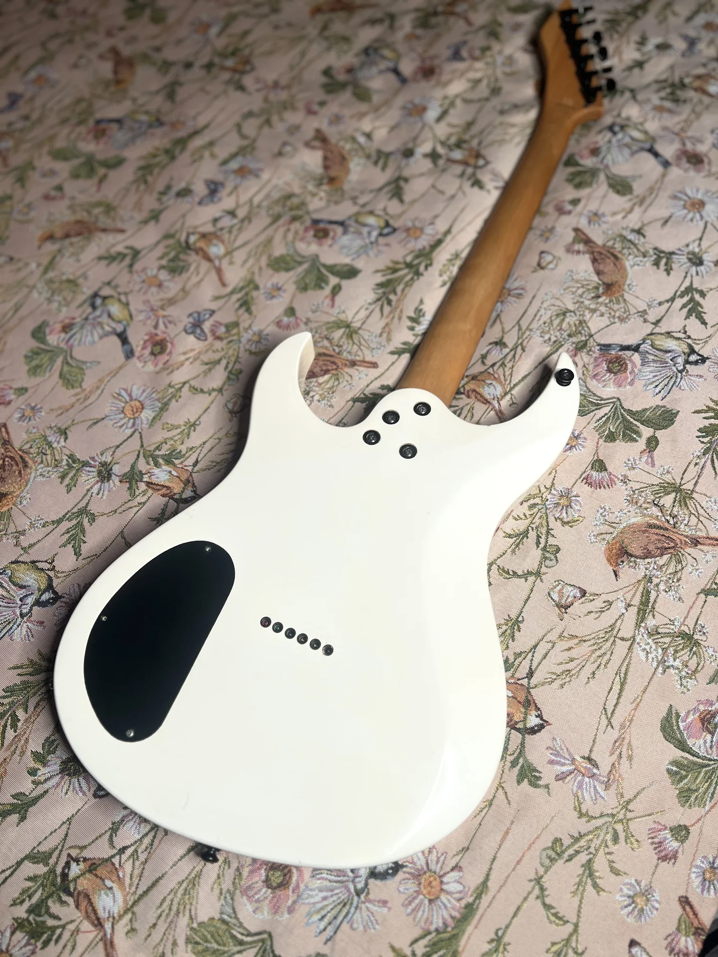 Washburn WM17 - миниатюра 6