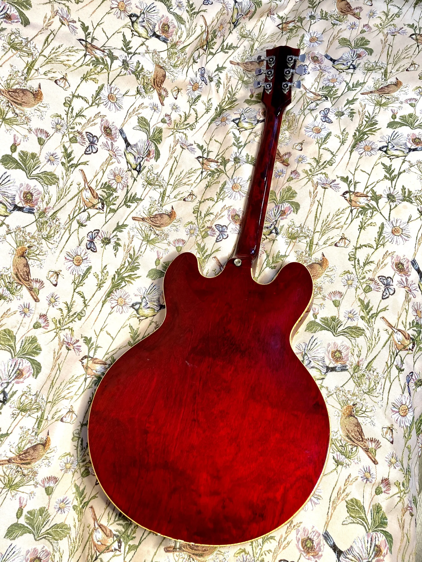 Greco SA-550 Japan 1970s +кейс - миниатюра 6