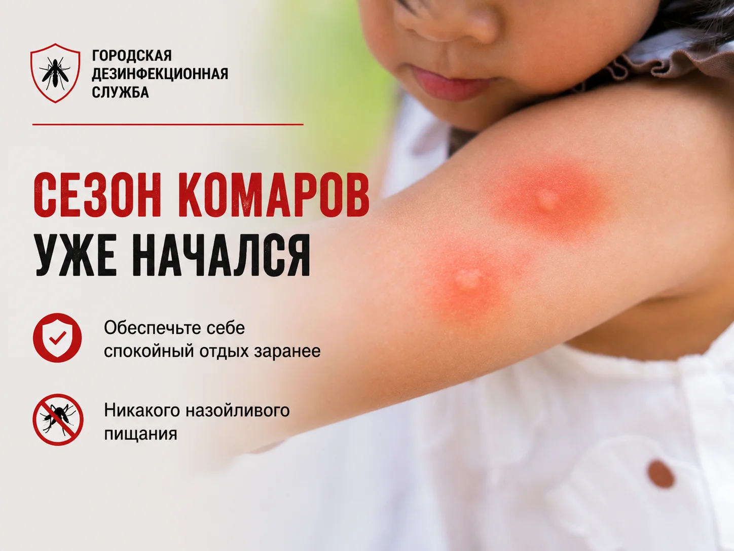 Обработка участка от клещей, комаров - миниатюра 2