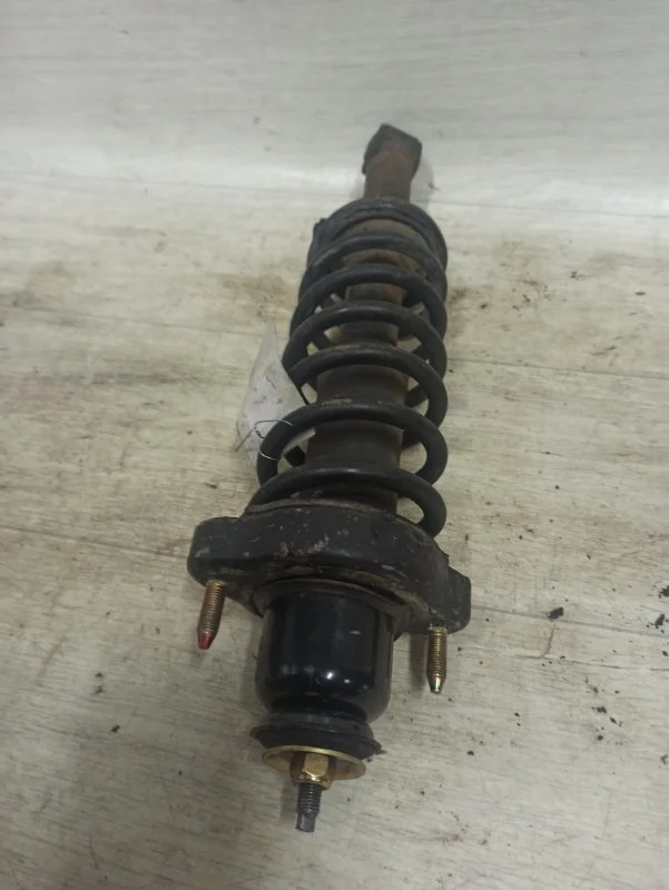 Амортизатор задний Mitsubishi Outlander XL 2007 - миниатюра 2