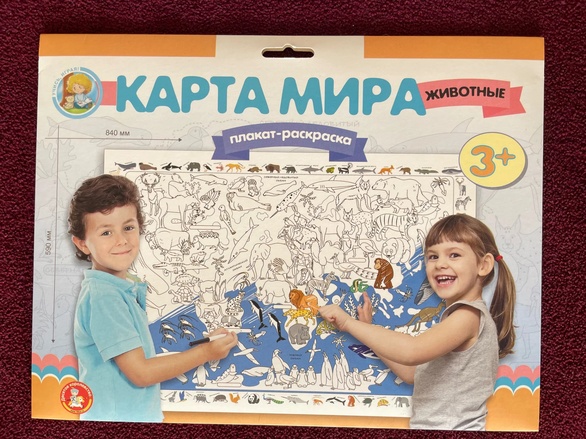 Викторина/раскраски - миниатюра 2