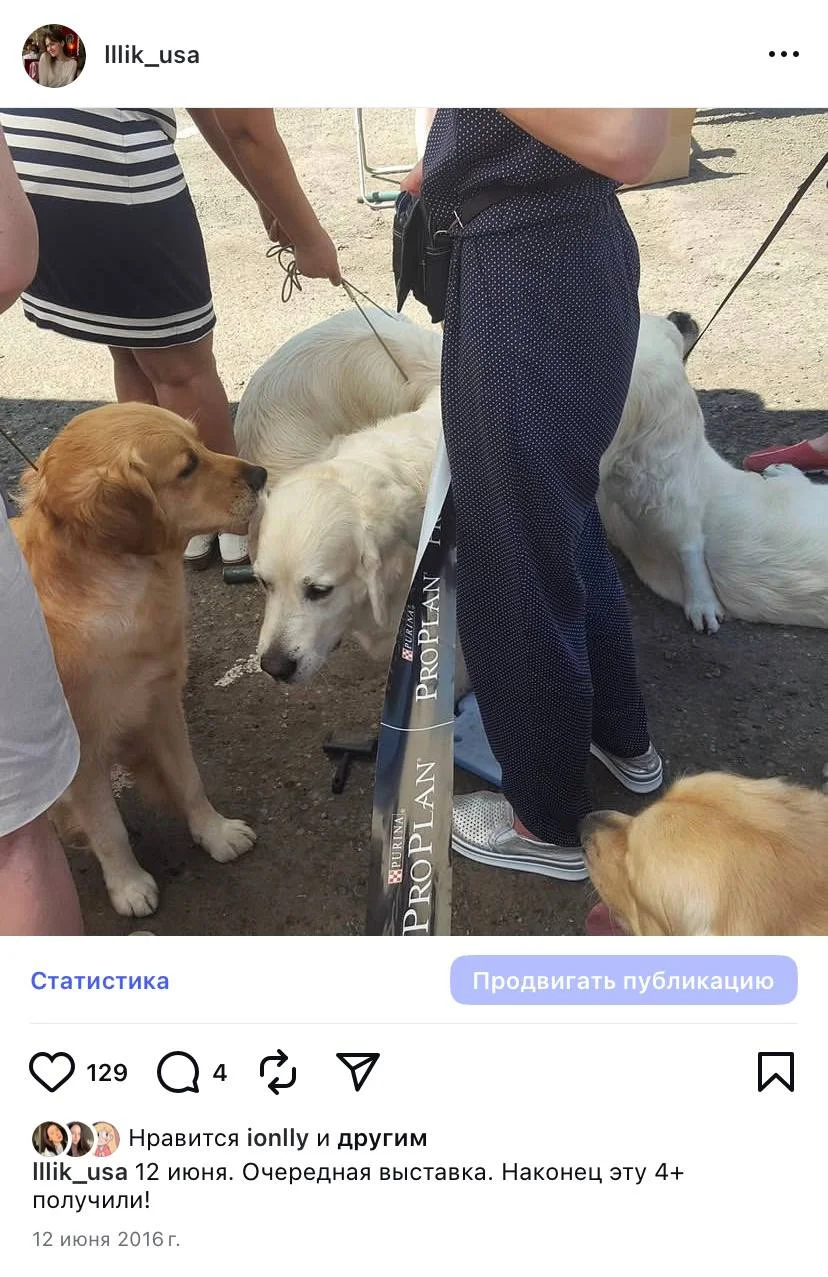 Выгульщик собак - миниатюра 10