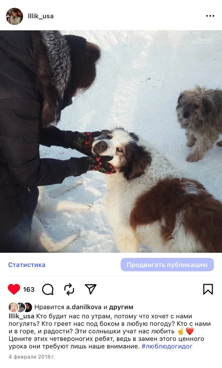 Выгульщик собак - миниатюра 11