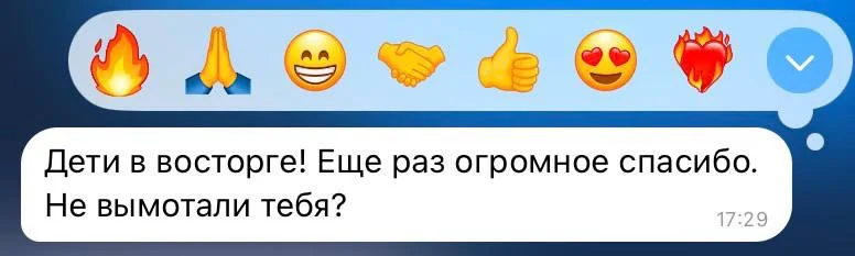 Няня / бебиситтер (3–7 лет) - миниатюра 4