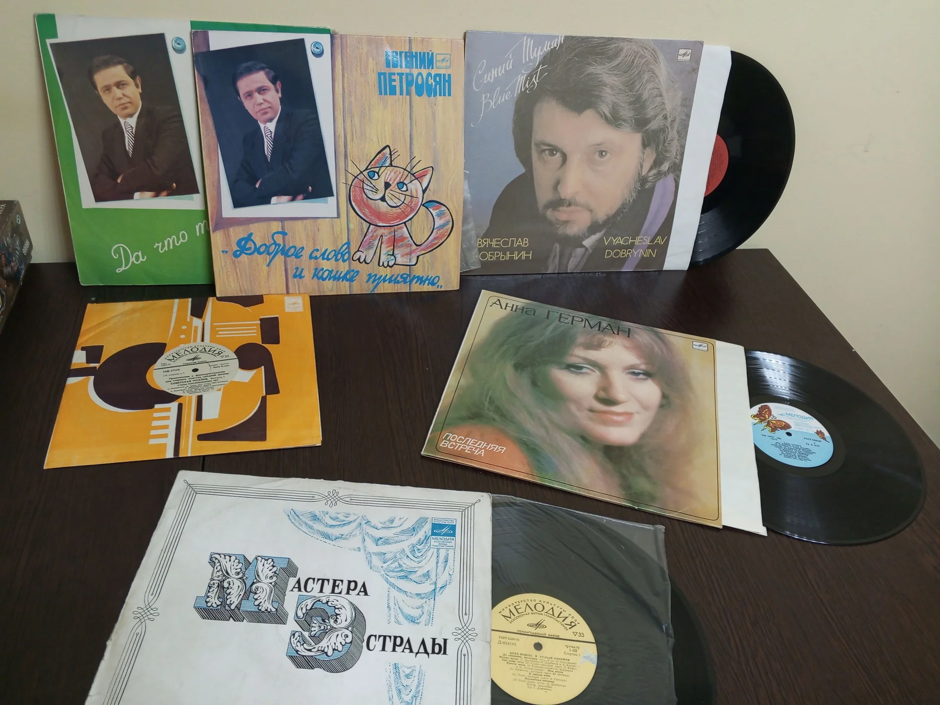 Виниловые пластинки - миниатюра 4