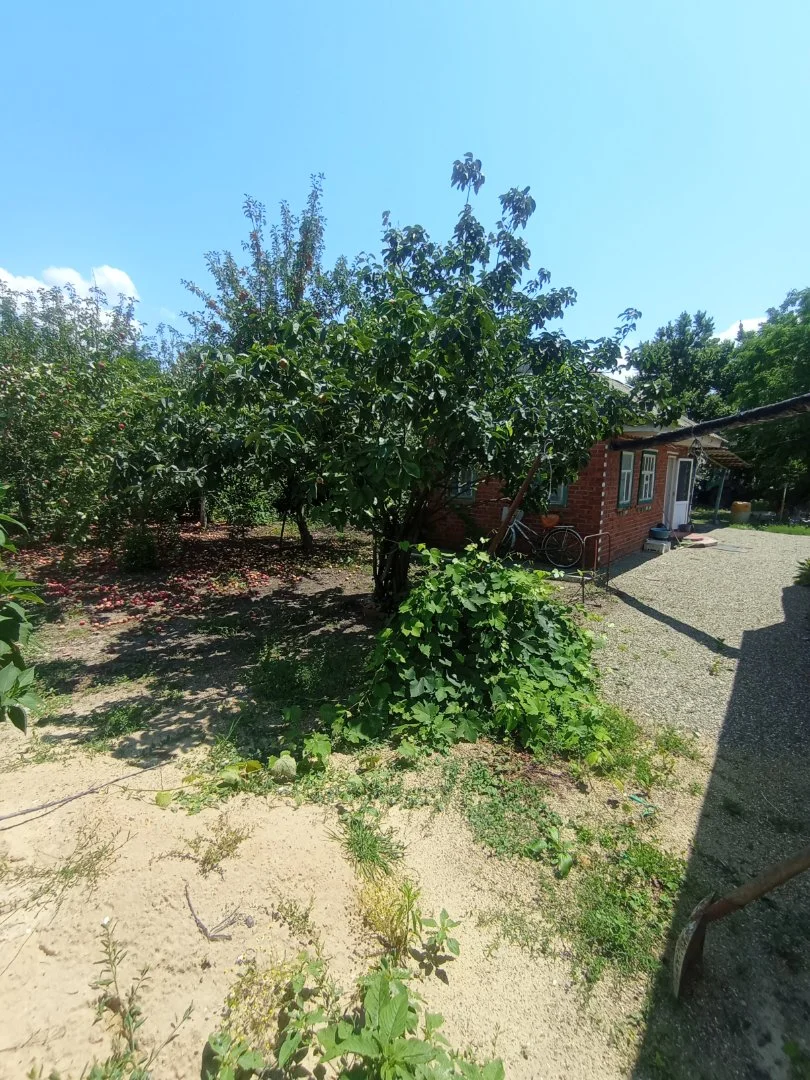 Продам дом возле Азовского моря - изображение 1