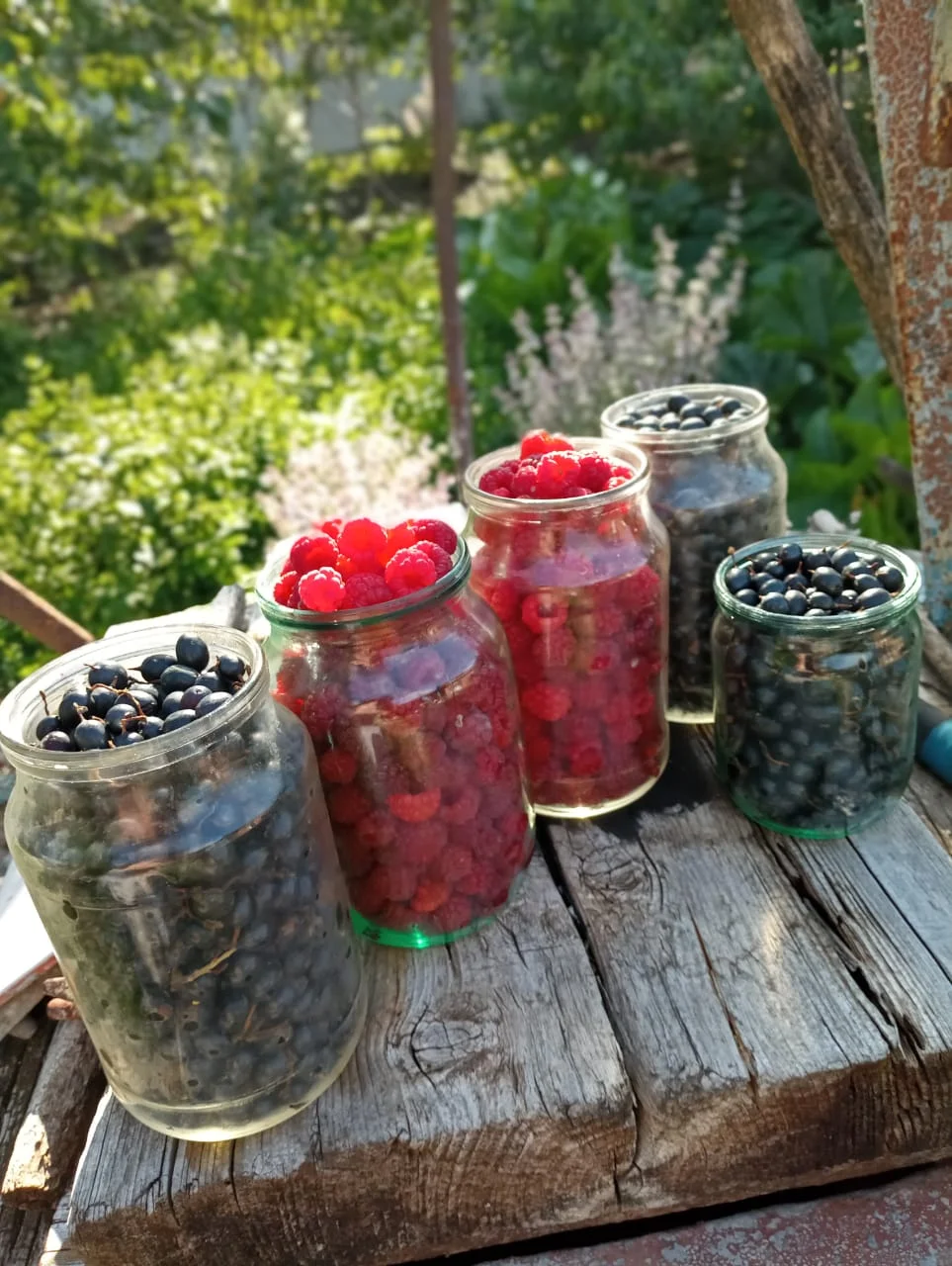 Продам дом возле Азовского моря - миниатюра 9