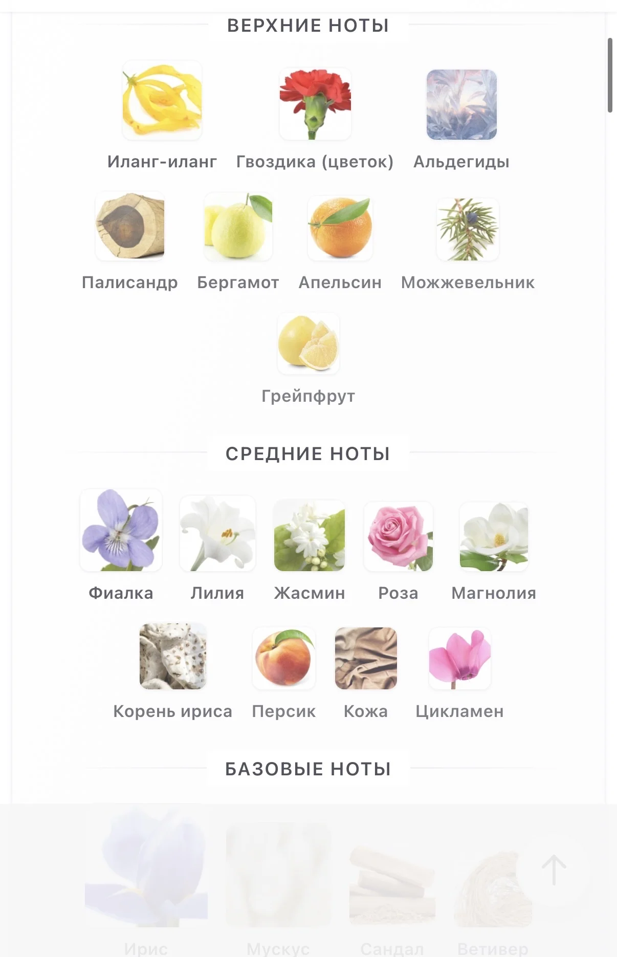 Распив 10мл Frederic Malle - миниатюра 5