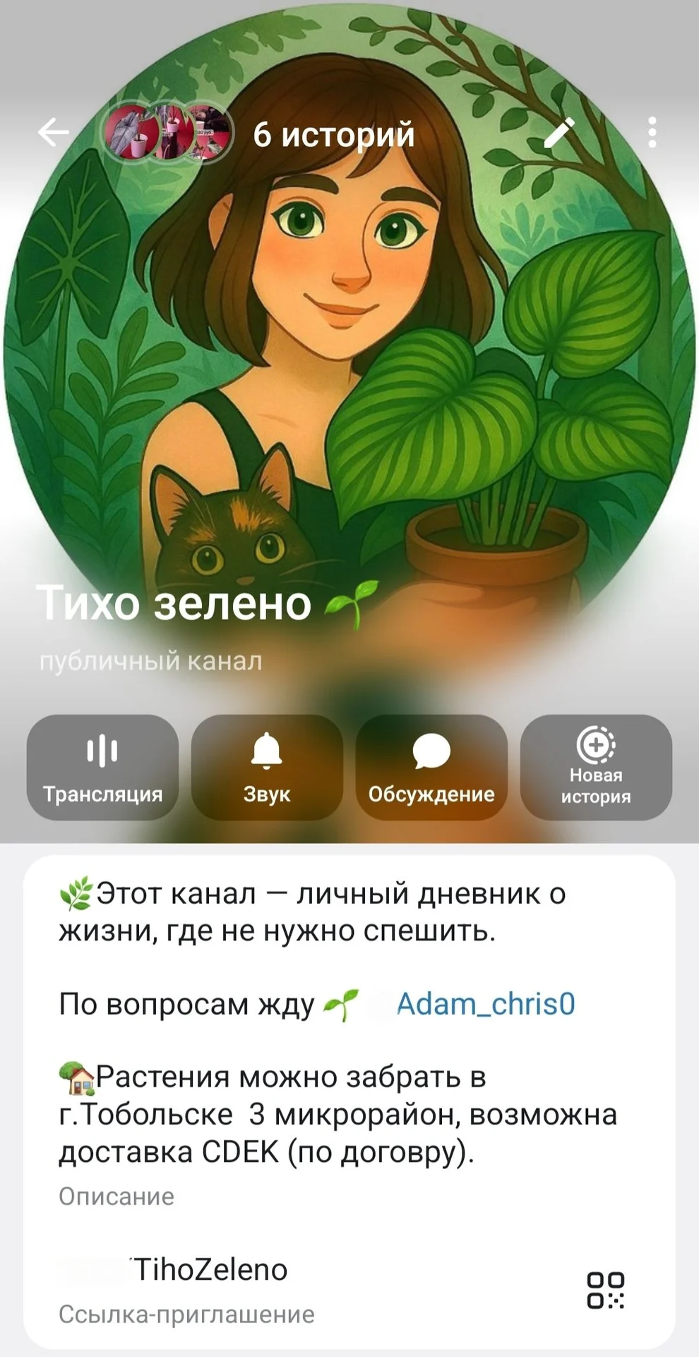Алоказия Форниката Камуфляж вар (детка) - миниатюра 5