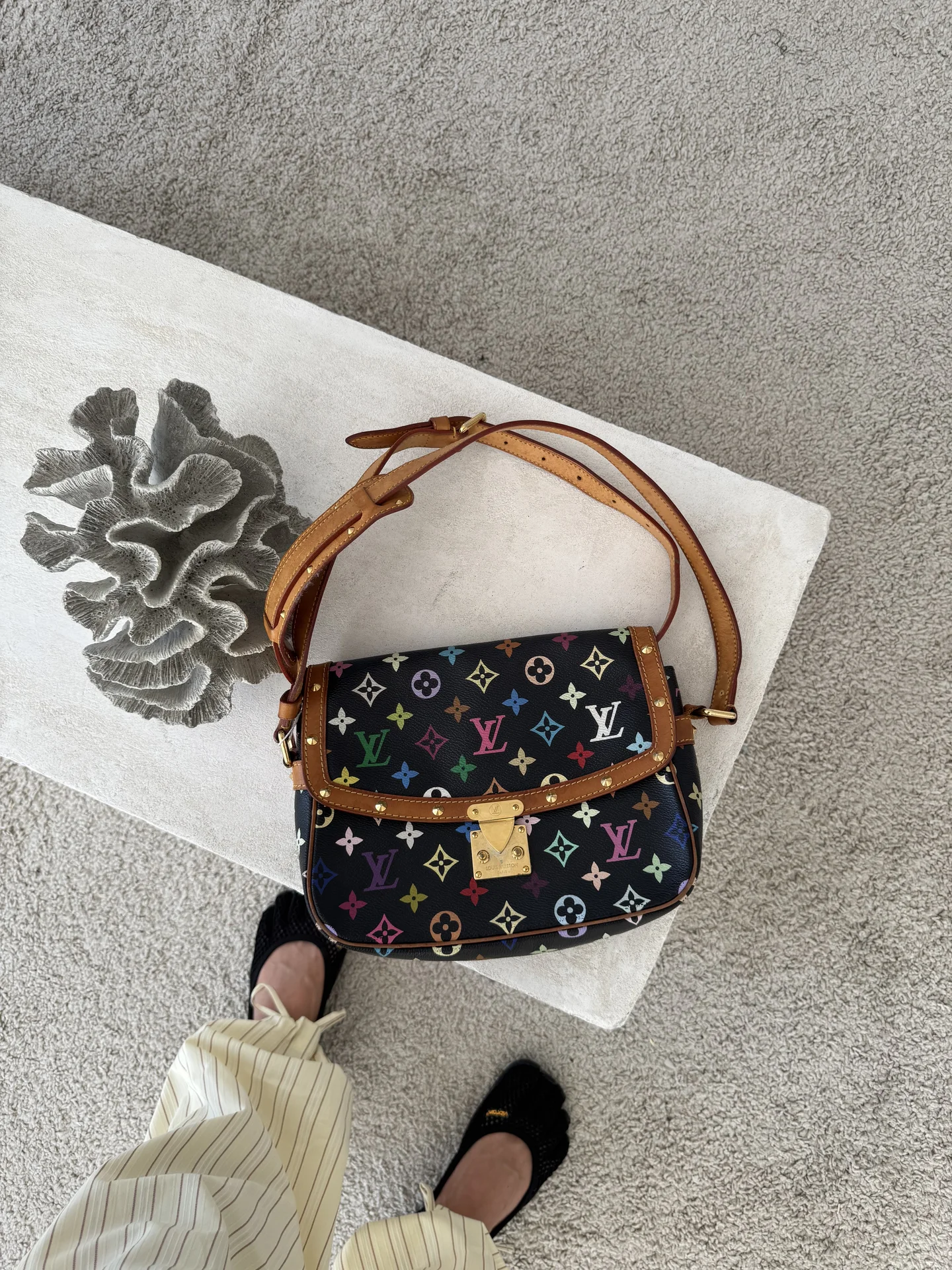 Сумка Louis Vuitton sologne Takashi - изображение 1