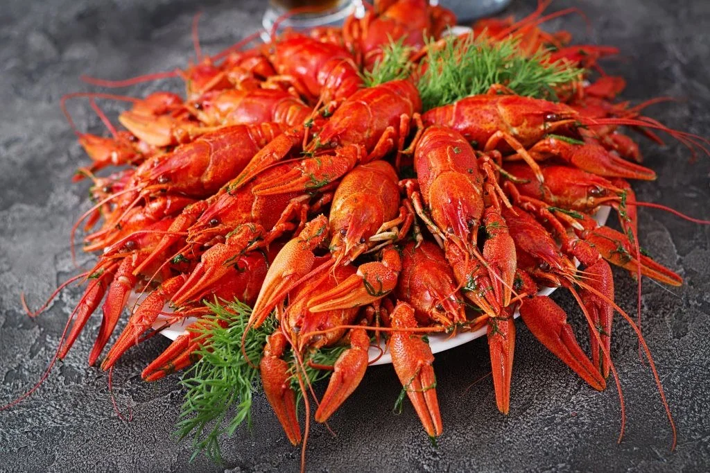 Раки живые и вареные - изображение 1