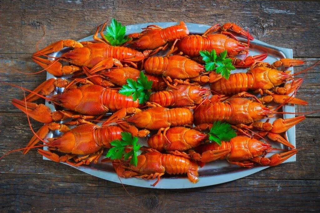 Раки живые и вареные - миниатюра 2