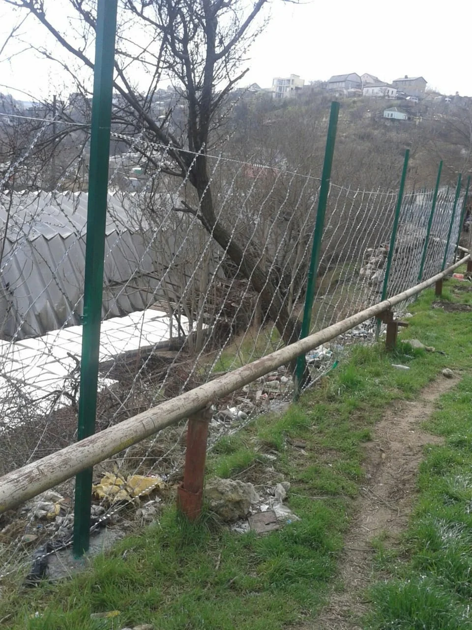 Колючая сетка Варан - миниатюра 5