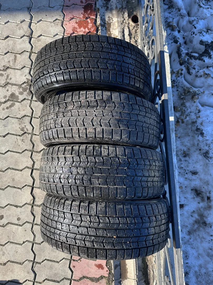 Dunlop dsx 195/55 R15 - миниатюра 4