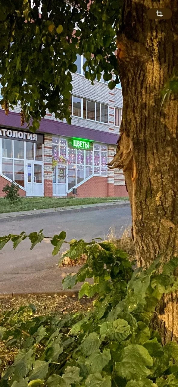 Магазин цветов Набережные Челны - миниатюра 6