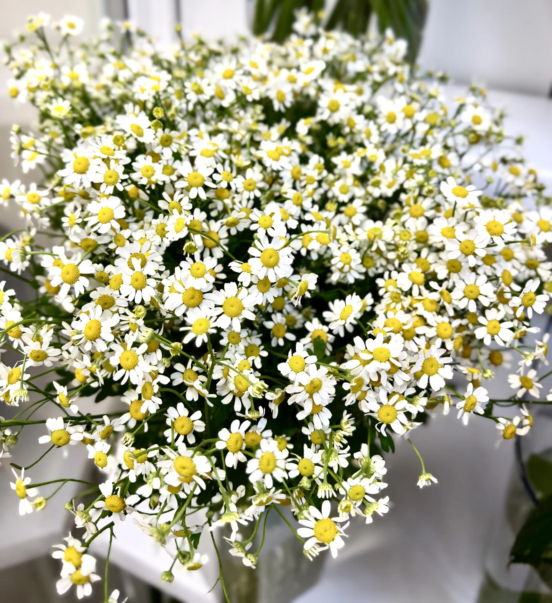 Букеты в наличии и под заказ 🌸 - миниатюра 4