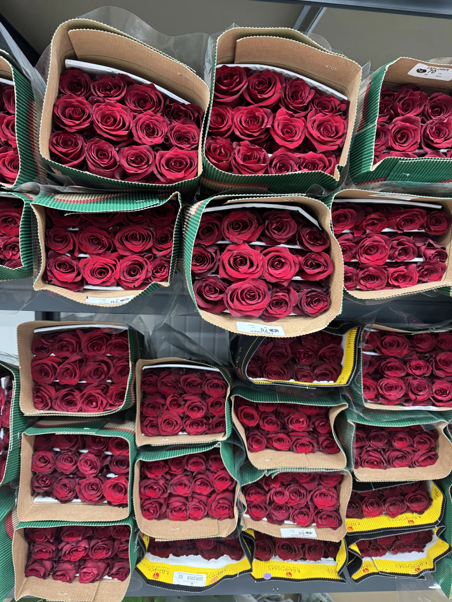 Цветы 🌹 - миниатюра 15