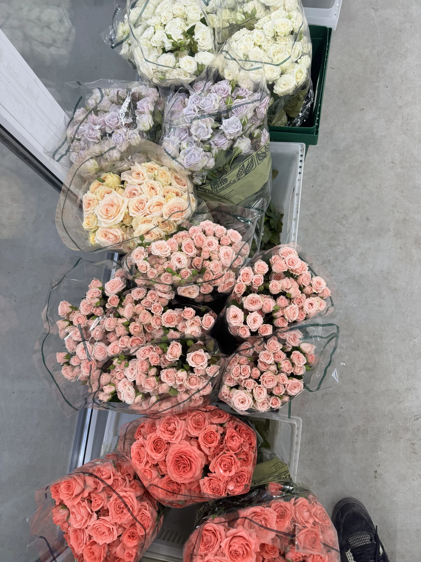 Цветы 🌹 - миниатюра 21
