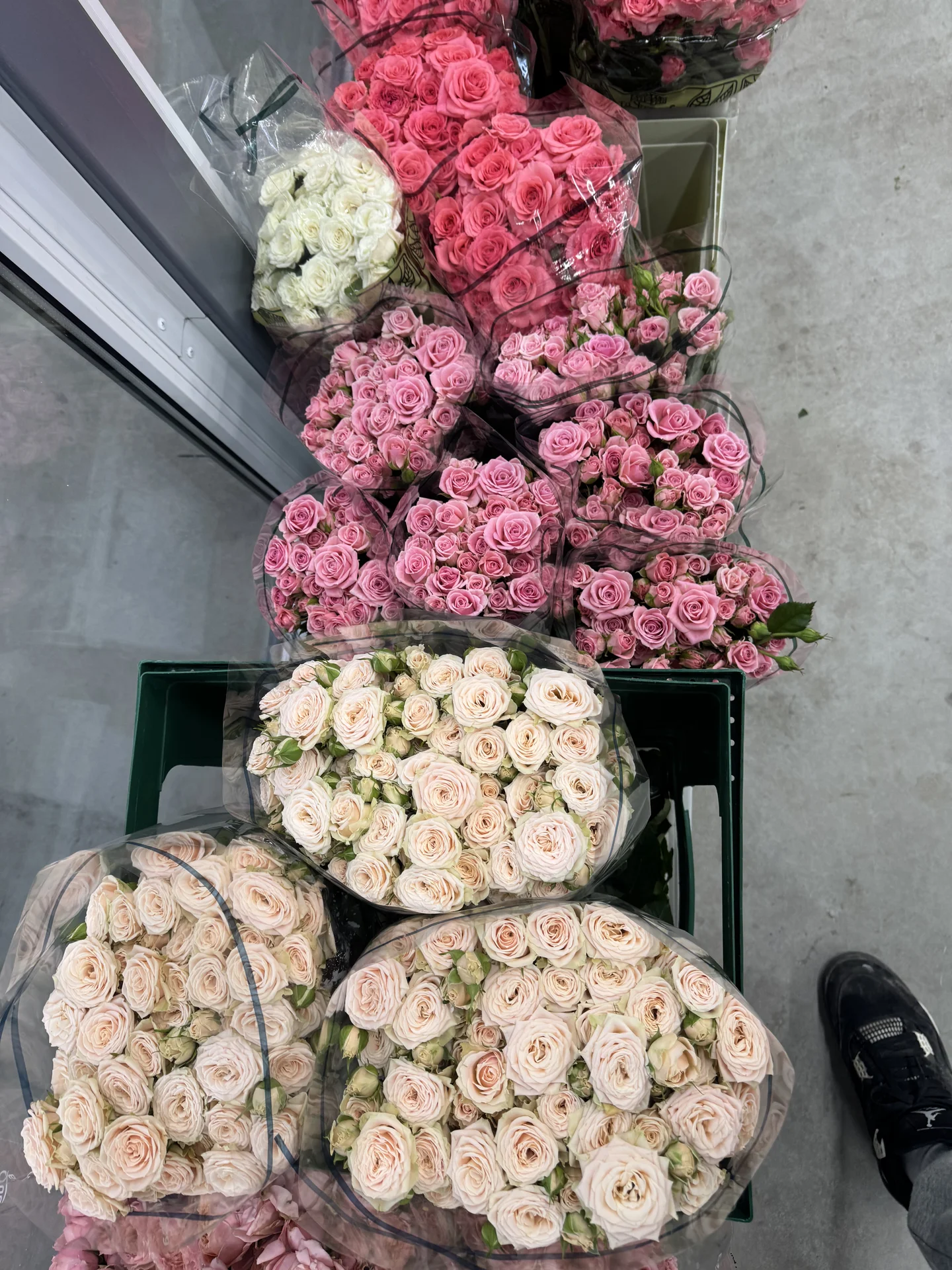 Цветы 🌹 - миниатюра 23