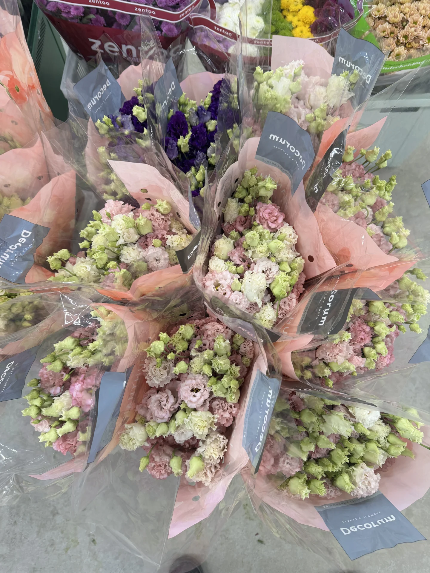 Цветы 🌹 - миниатюра 31