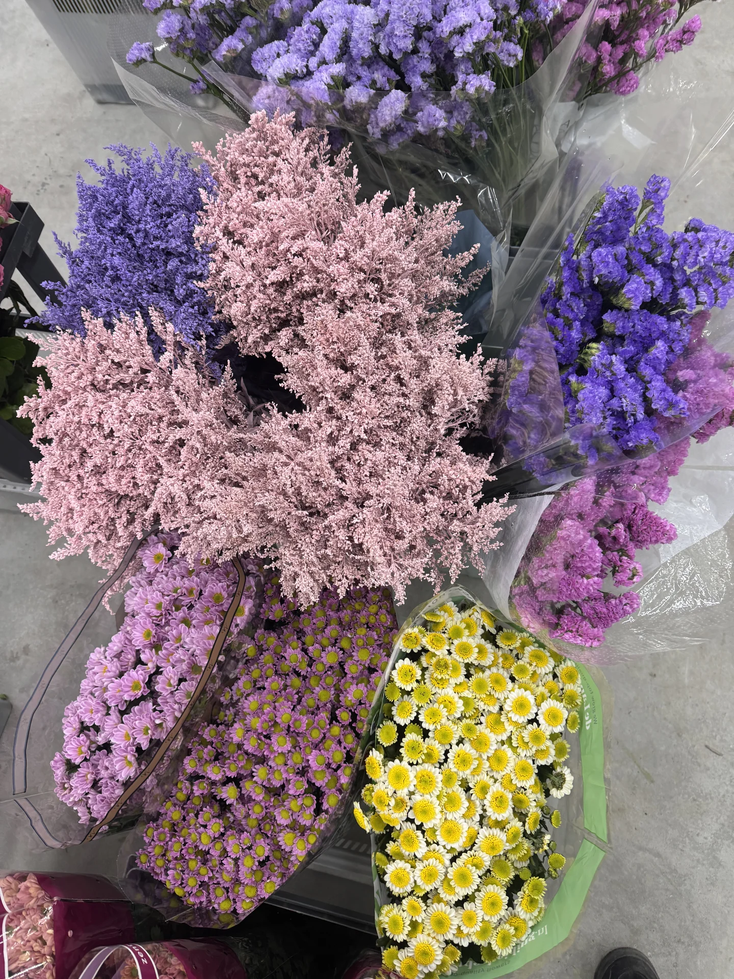 Цветы 🌹 - миниатюра 35