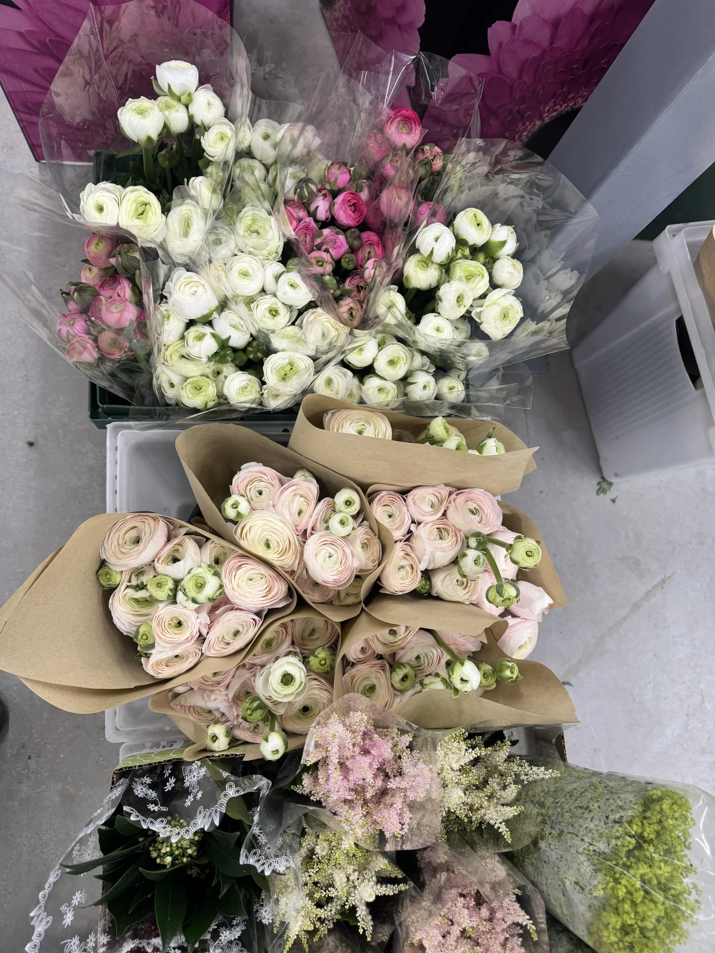 Цветы 🌹 - миниатюра 39