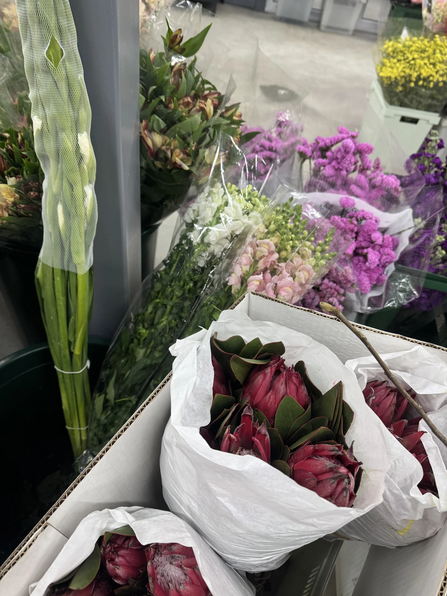Цветы 🌹 - миниатюра 47