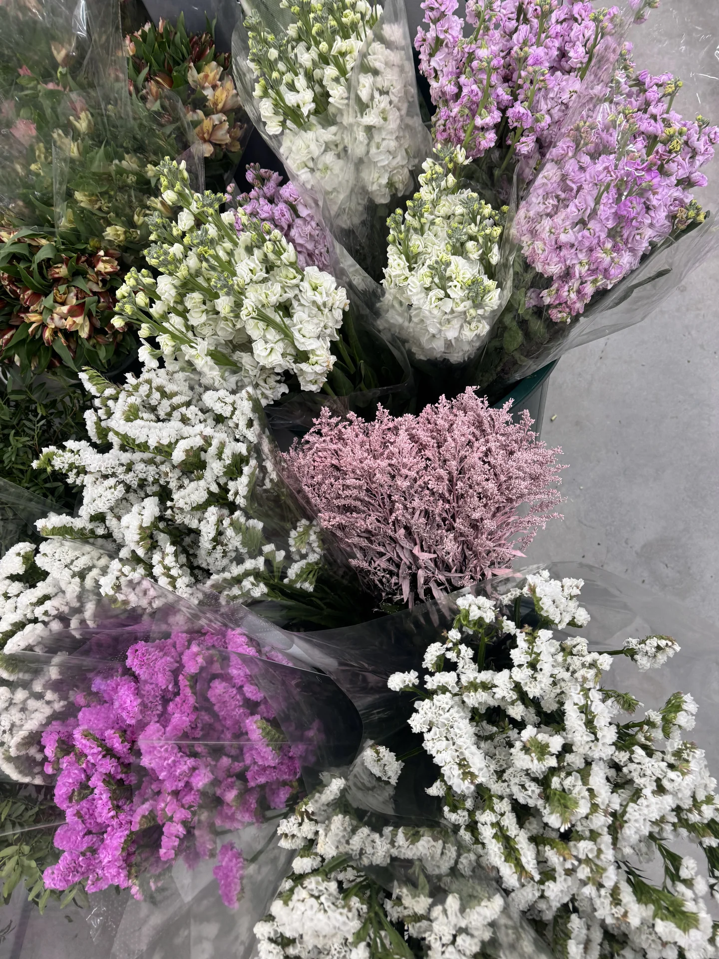 Цветы 🌹 - миниатюра 48