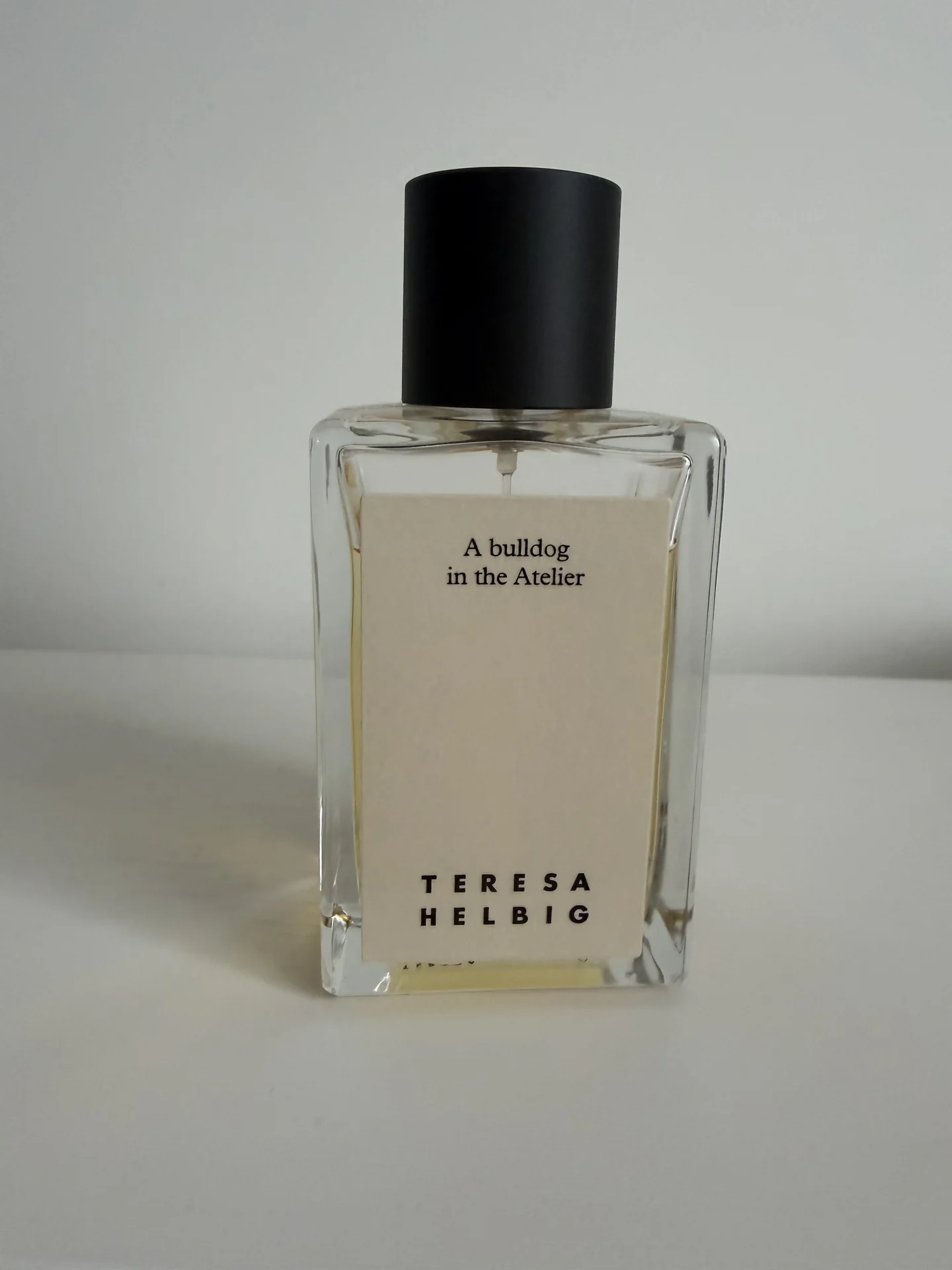 Teresa Helbig A Bulldog in the Atelier Оригинал - миниатюра 2