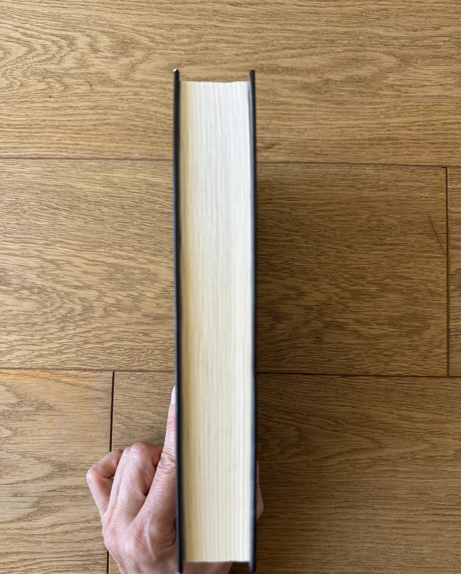 Книга Пелевина Путешествие в Элевсин - миниатюра 3