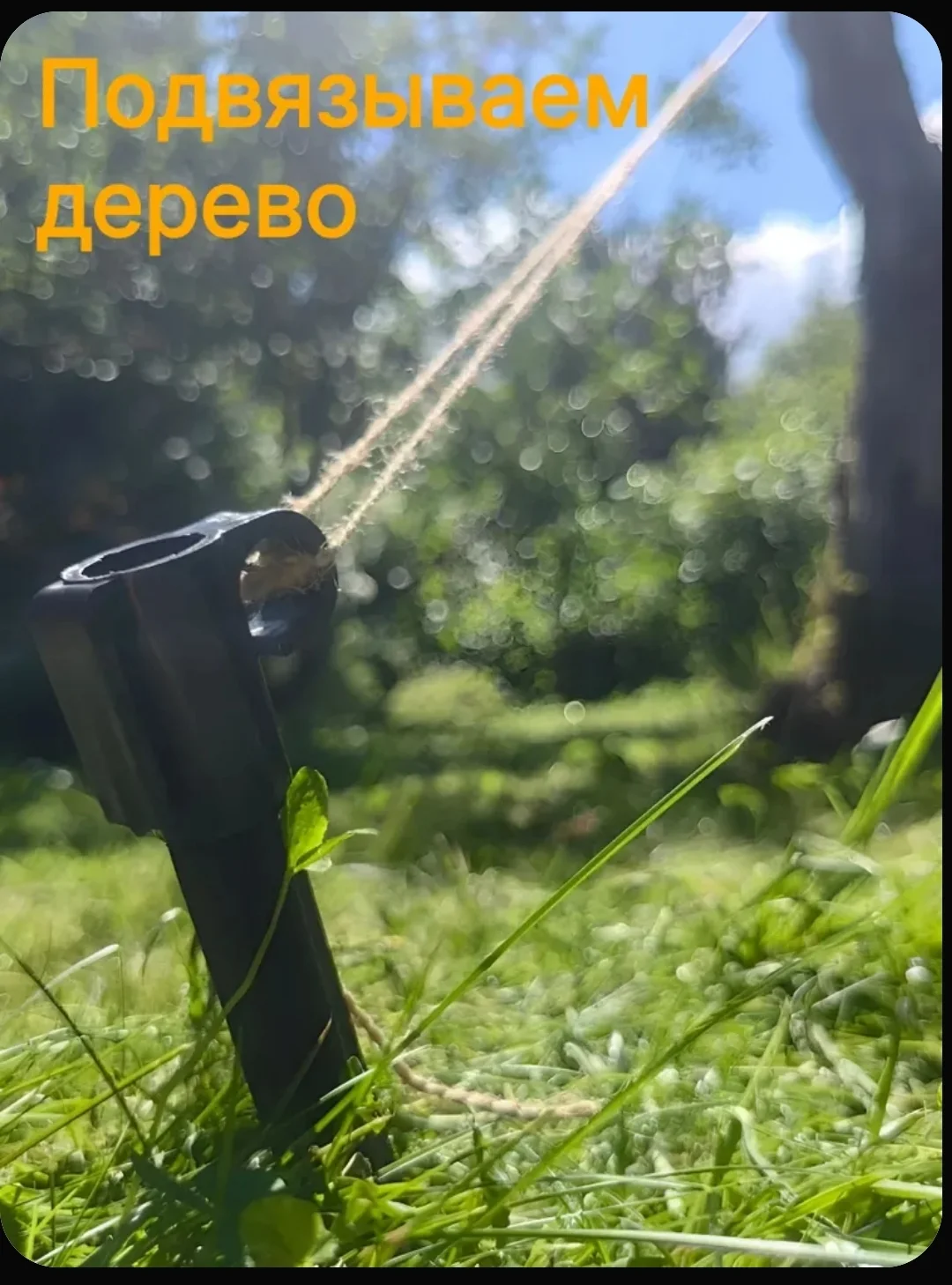 Колышек садовый универсальный высота 30 см - миниатюра 10