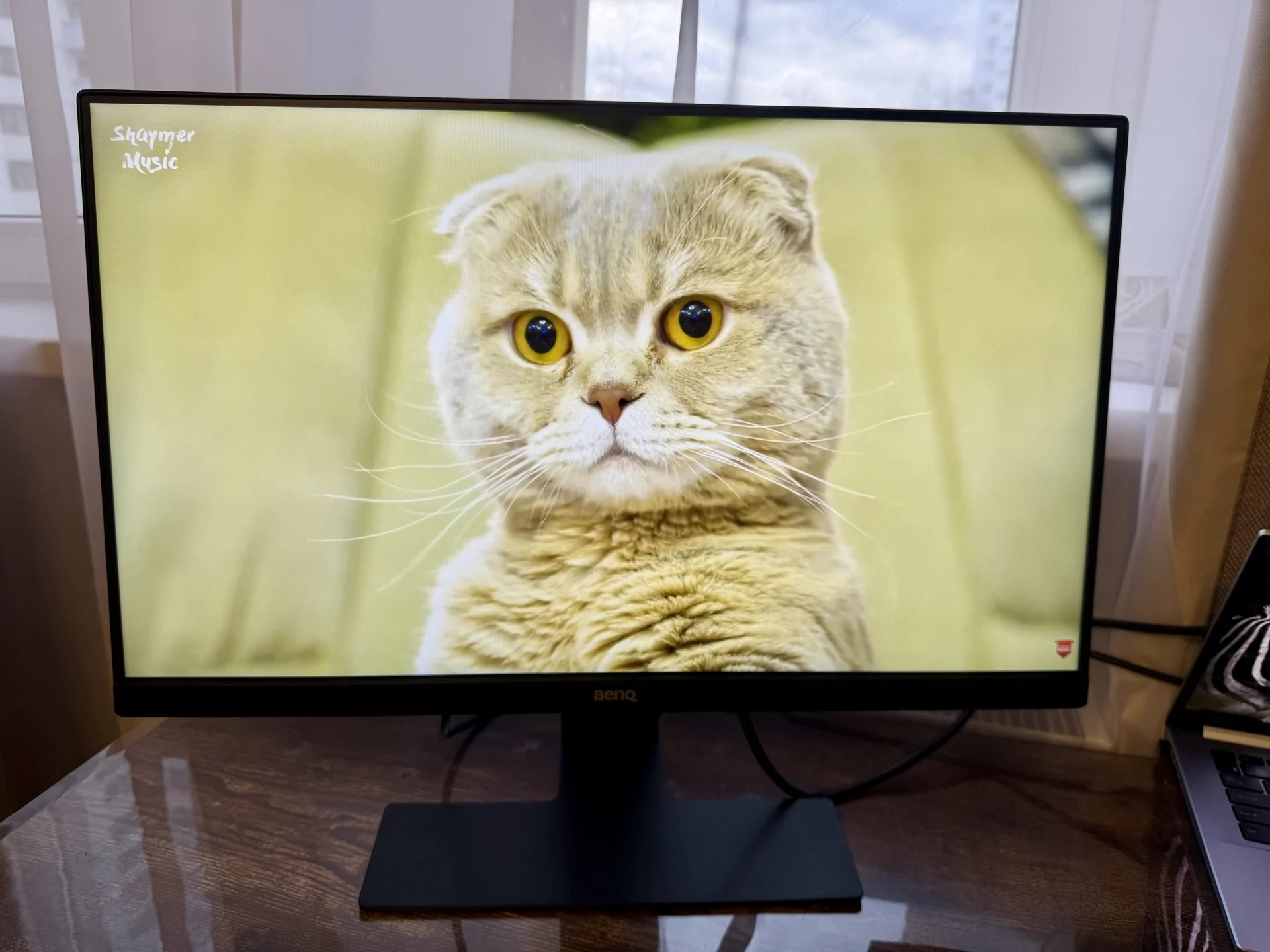 Монитор benq GW2480 1920x1080 77Гц - изображение 1