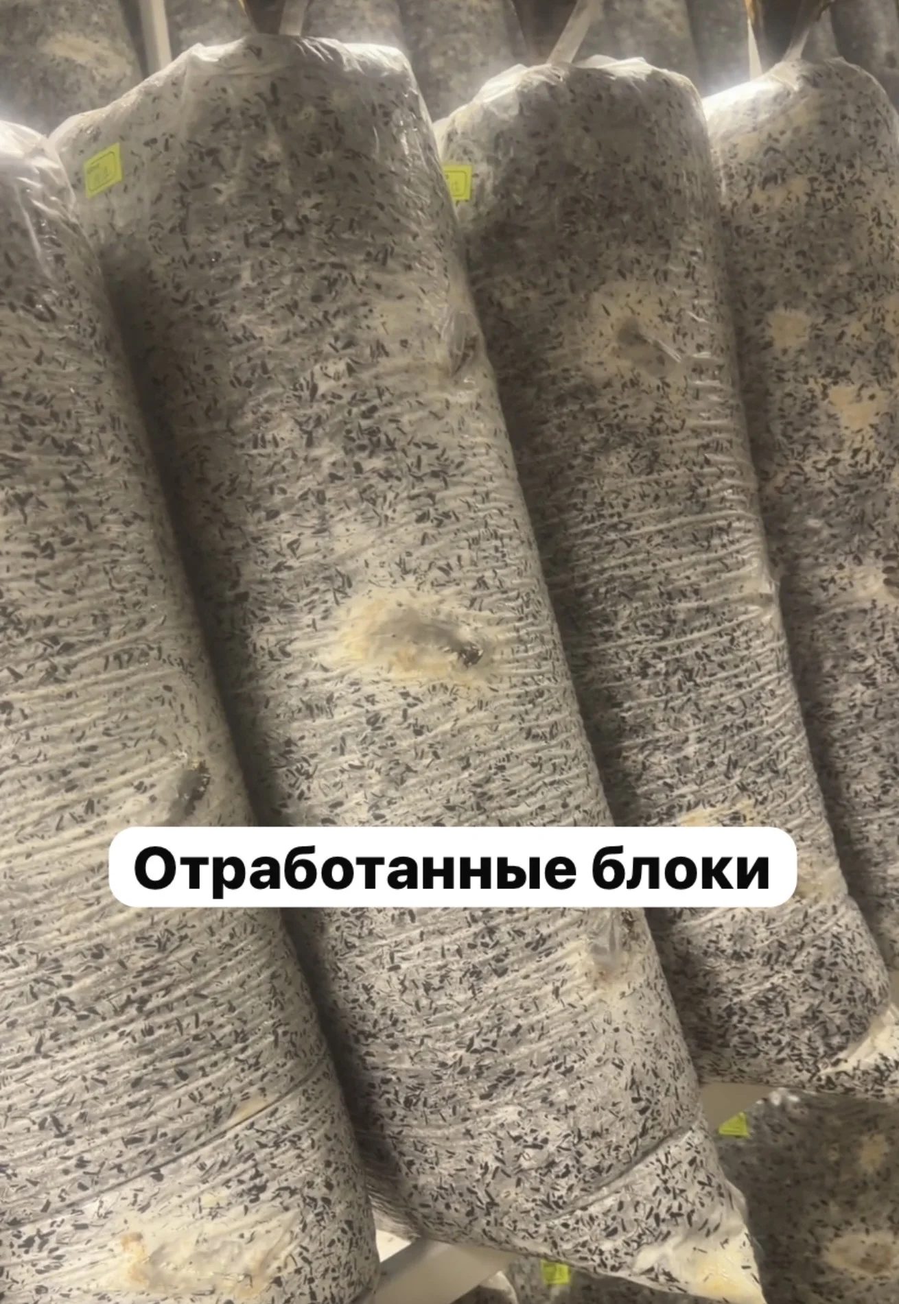 Грибные блоки 🍄‍🟫 - миниатюра 2
