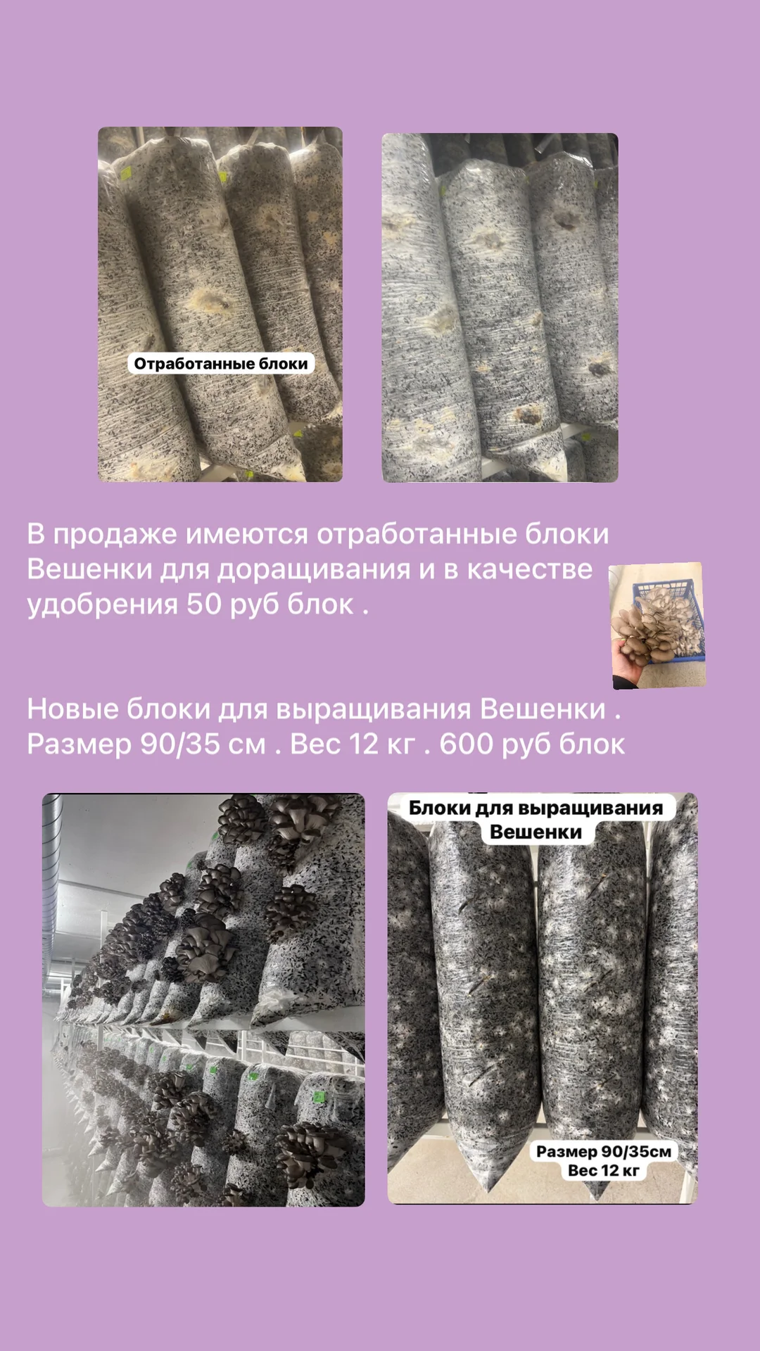 Грибные блоки 🍄‍🟫 - миниатюра 3