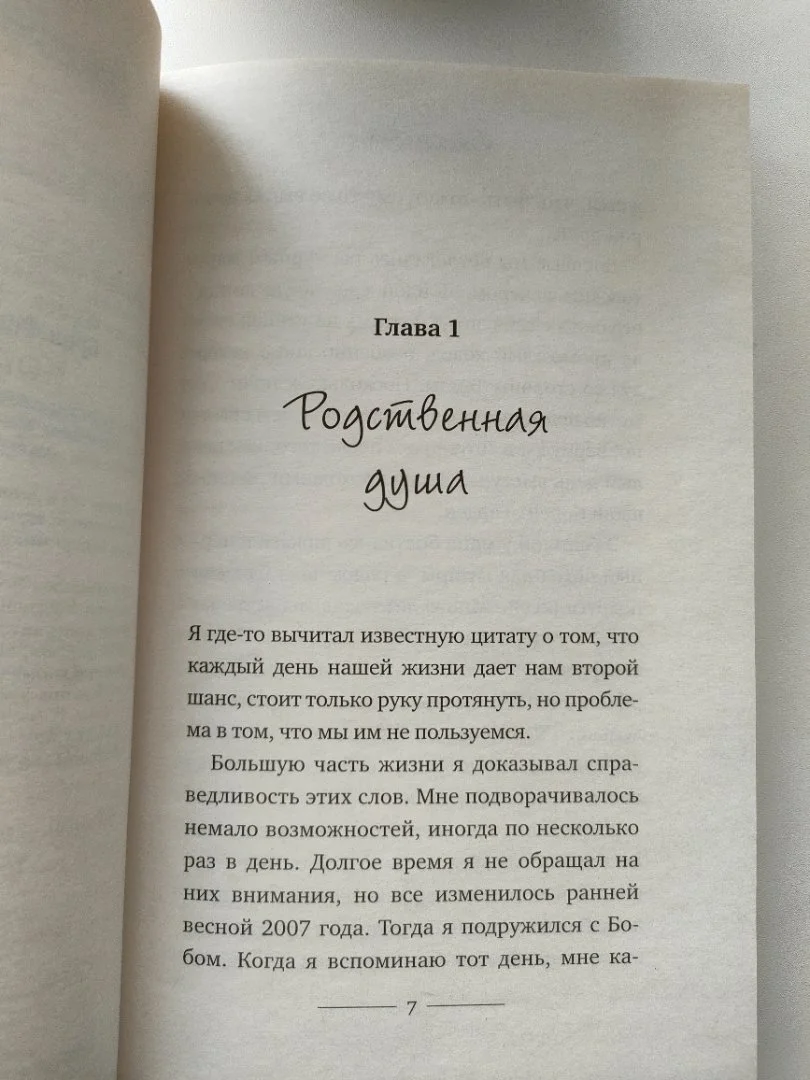 Книга Уличный кот по имени Боб - миниатюра 2