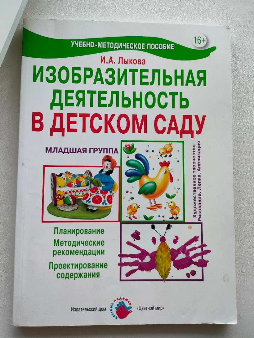 Учебно-методические пособие Ирина Лыкова - изображение 1