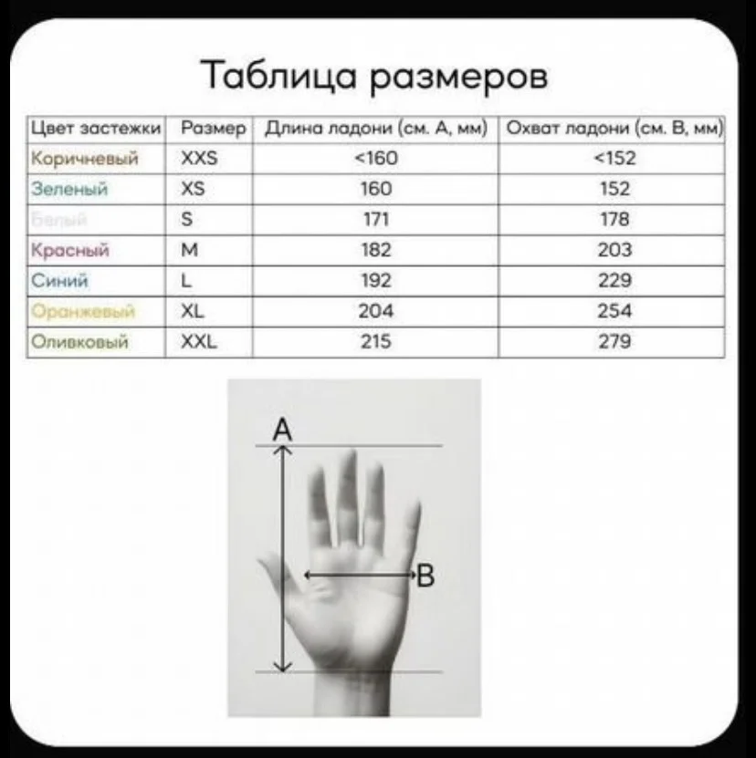Кольчужная перчатка Evroflex - миниатюра 5