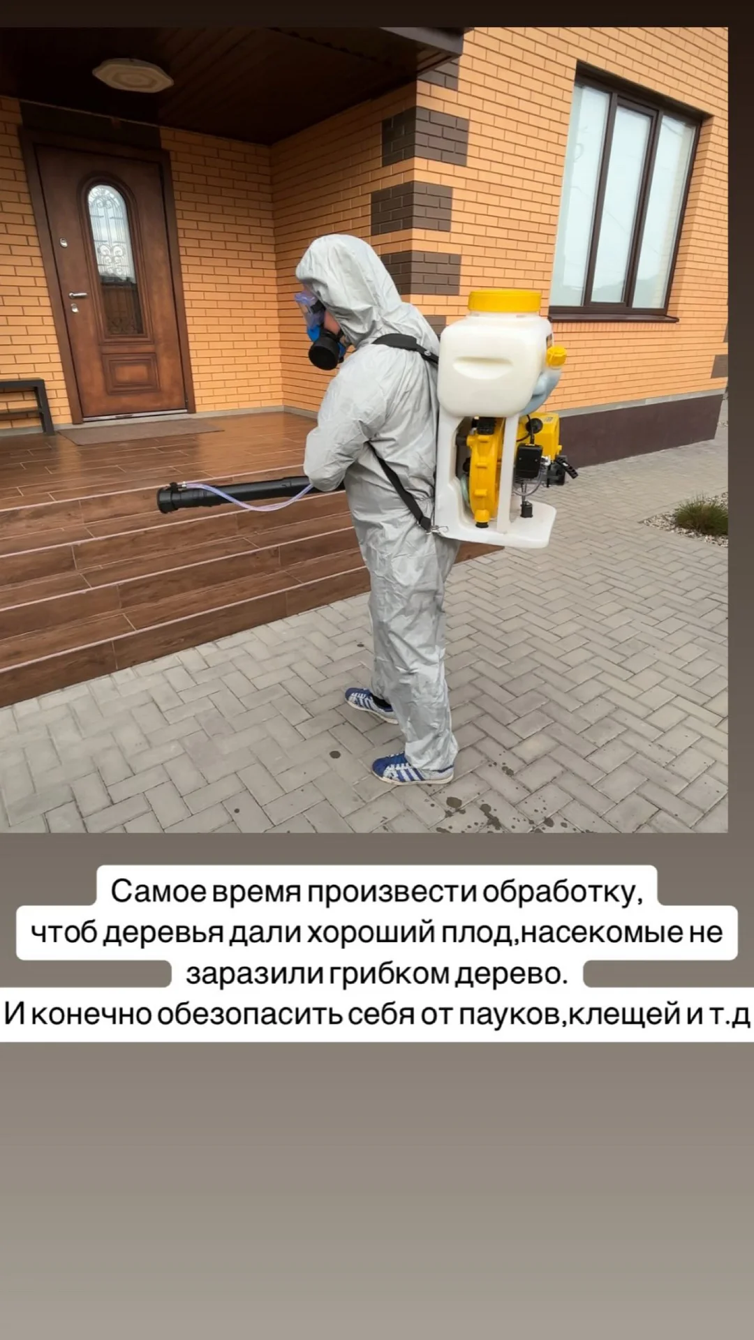 Уничтожение тараканов,клопов,клещей,муравьев - миниатюра 9