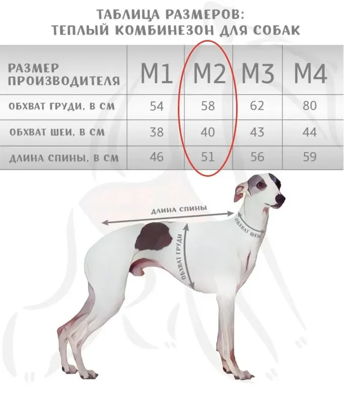 Комбинезон для собаки средней породы Монморанси - миниатюра 2