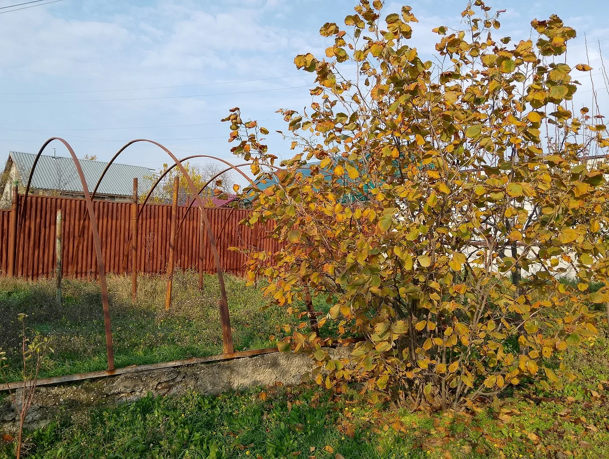 Дом пл.208 кв.м., 6 сот., Пятигорск, р-н Квартал - миниатюра 7