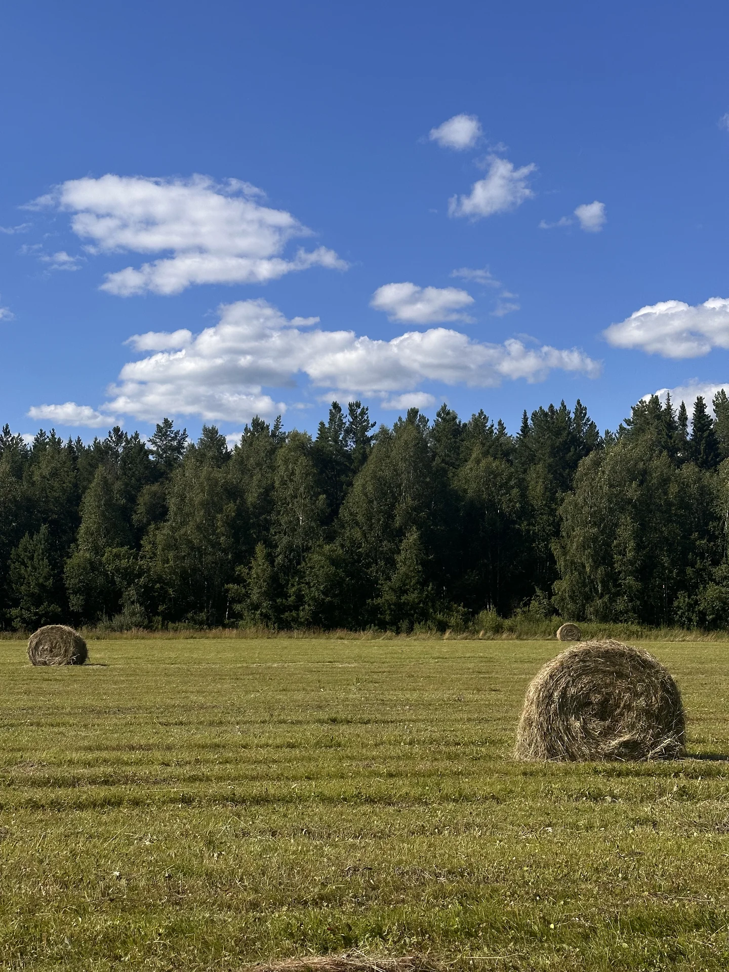 Аренда дома - миниатюра 13