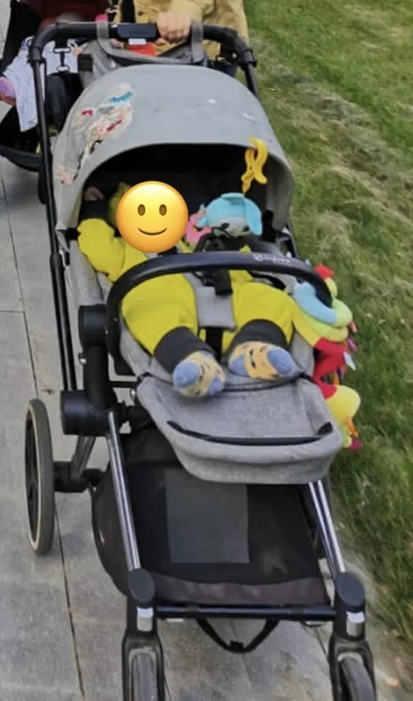 Cybex Priam Lux Seat, Koi - 2 в 1 - миниатюра 3