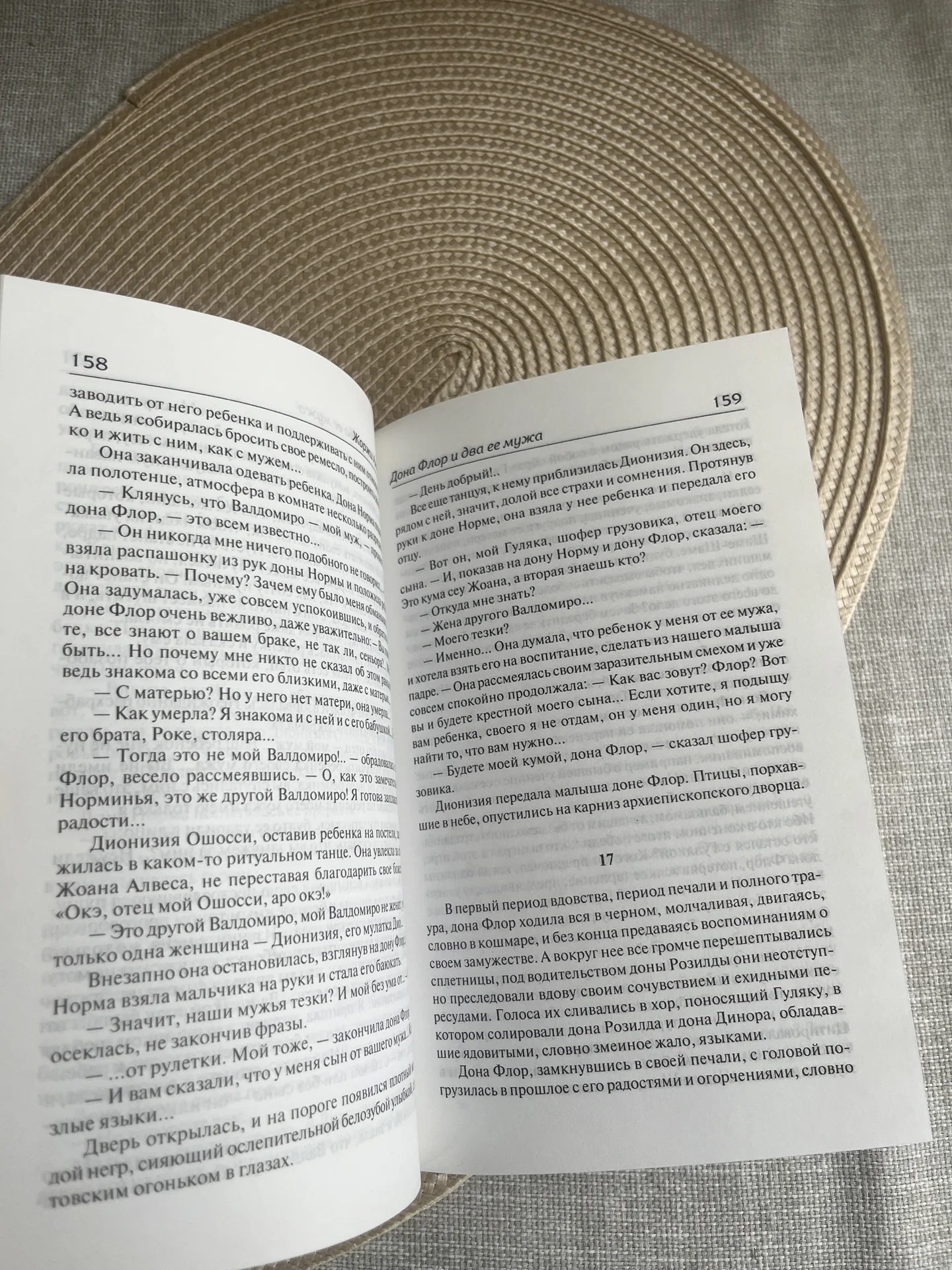 Дона Флор и два ее мужа Жоржи Амаду Книга - миниатюра 7