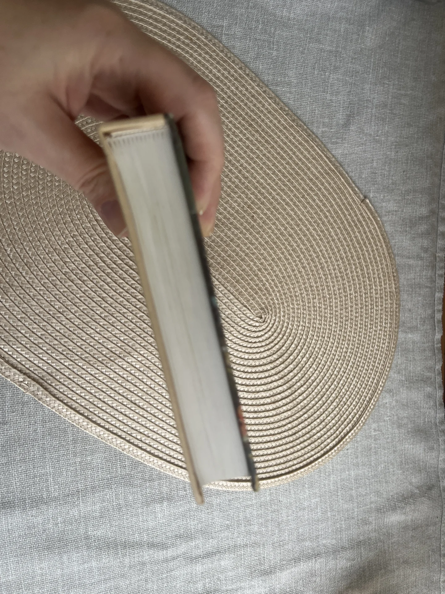 Дона Флор и два ее мужа Жоржи Амаду Книга - миниатюра 12