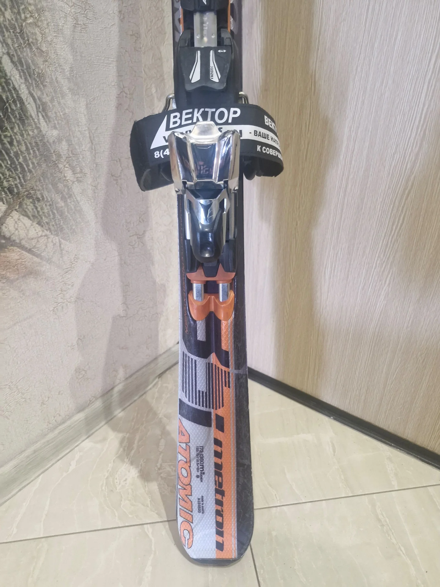 Горные лыжи - изображение 1